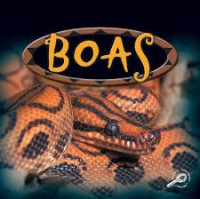 Boas