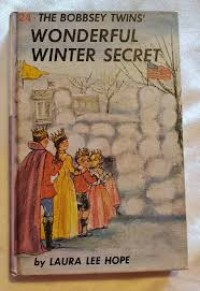 The Bobbsey Twins' Wonderful Winter Secret #24
