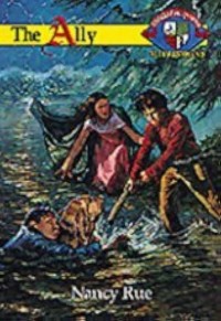 The Ally Book #14